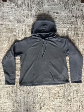 Under Armour Women's Gray Cropped Hooded Pullover Sweatshirt